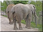 PICT0137.jpg