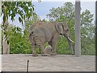 PICT0138.jpg