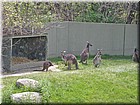 PICT0152.jpg