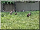 PICT0153.jpg
