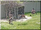 PICT0154.jpg