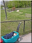 PICT0155.jpg
