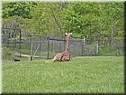 PICT0156.jpg