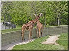 PICT0157.jpg