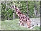 PICT0158.jpg