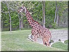 PICT0160.jpg