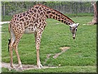 PICT0161.jpg