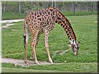 PICT0162.jpg