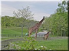 PICT0168.jpg