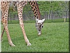 PICT0174.jpg