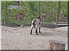 PICT0180.jpg