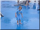 PICT0241.jpg
