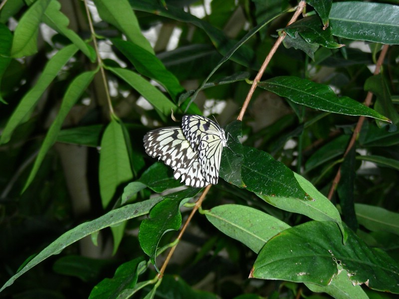 DSCN0120.JPG