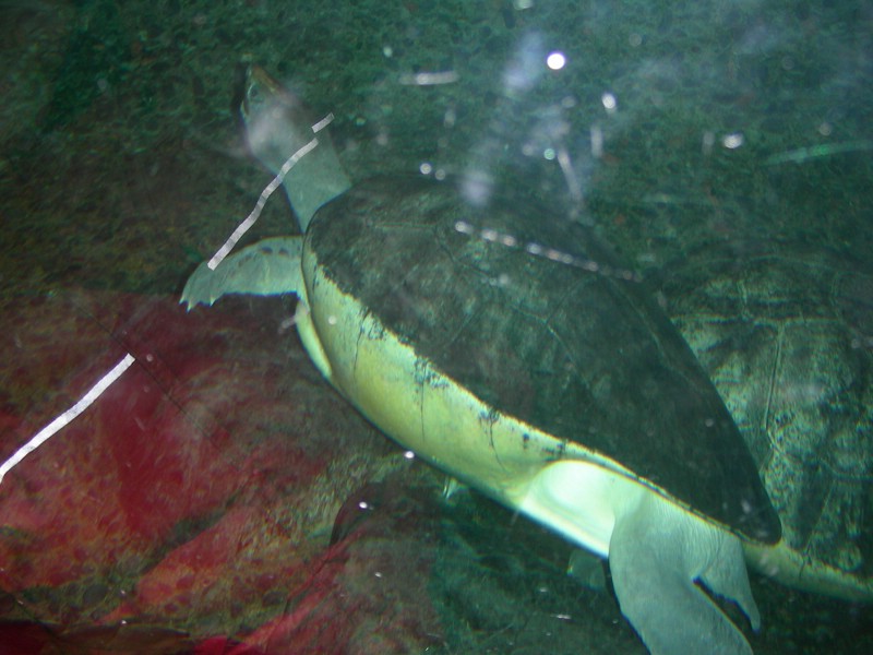 DSCN0126.JPG