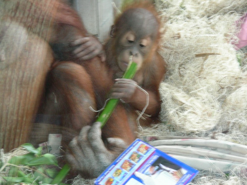 DSCN0136.JPG