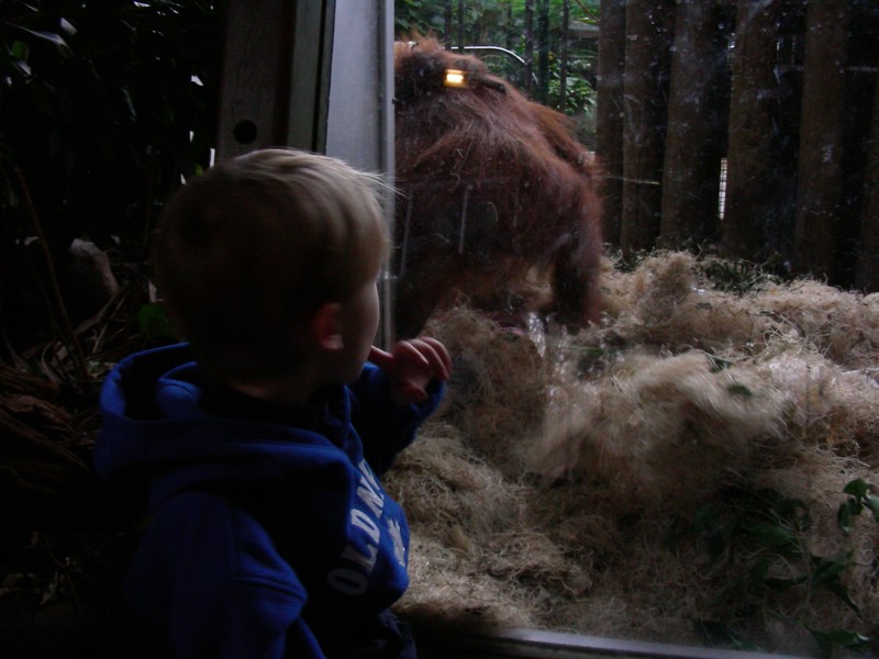 DSCN0140.JPG