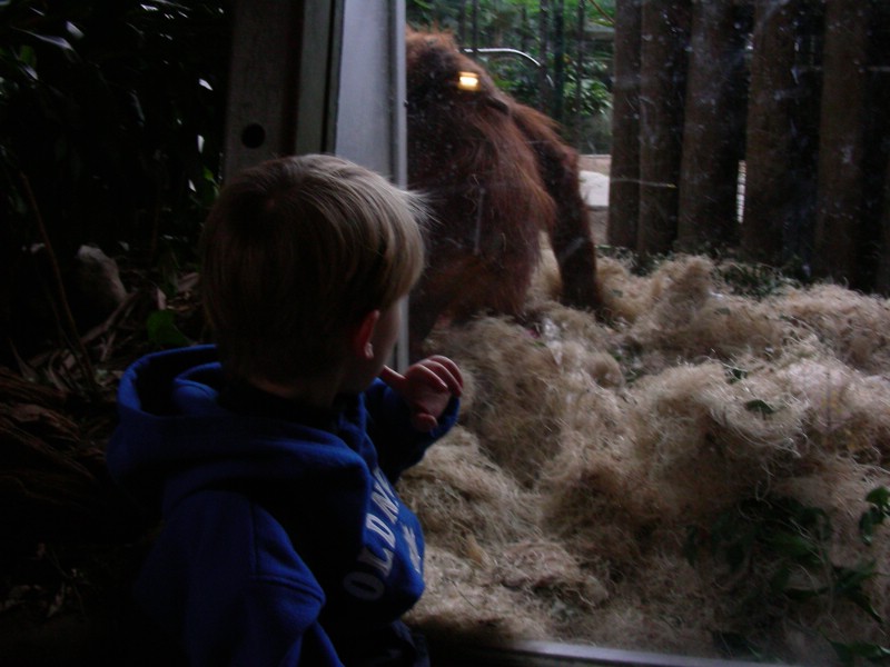 DSCN0141.JPG