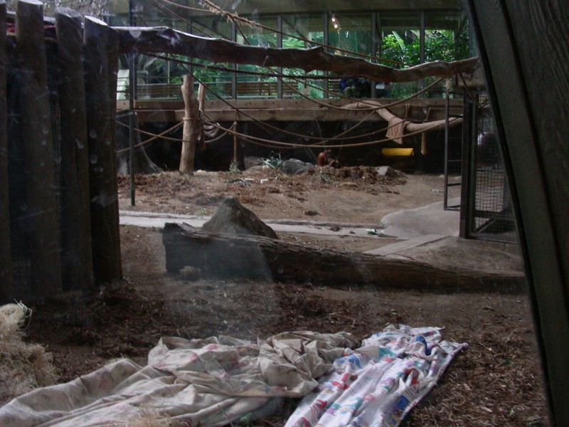 DSCN0143.JPG