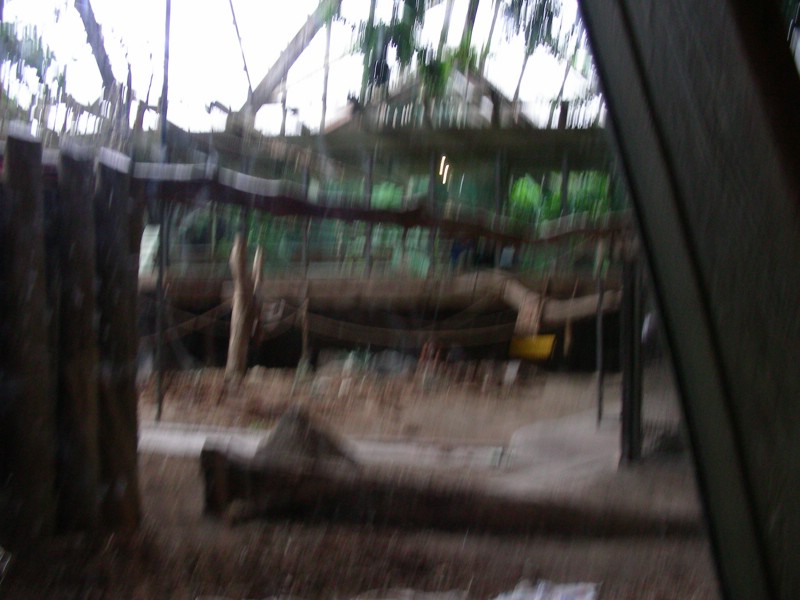 DSCN0146.JPG