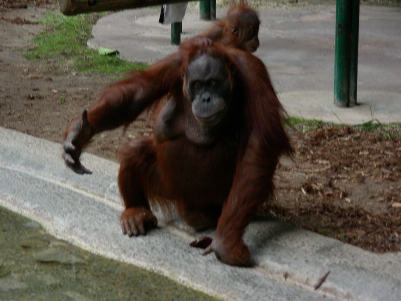 DSCN0148.JPG