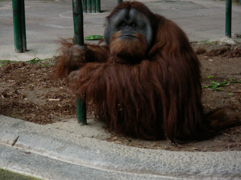 DSCN0151.JPG