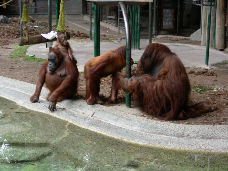 DSCN0155.JPG