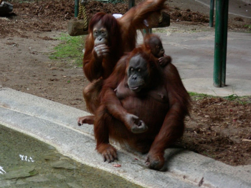 DSCN0159.JPG