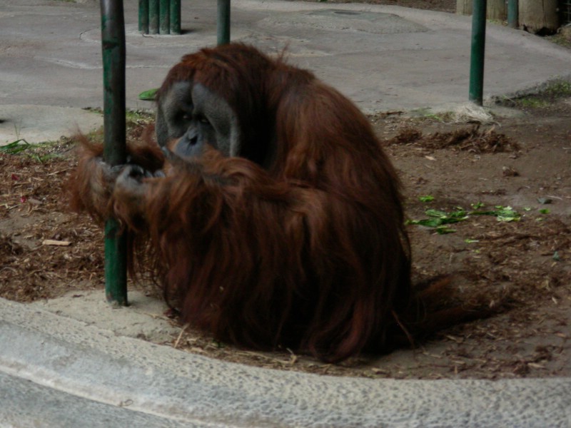 DSCN0160.JPG