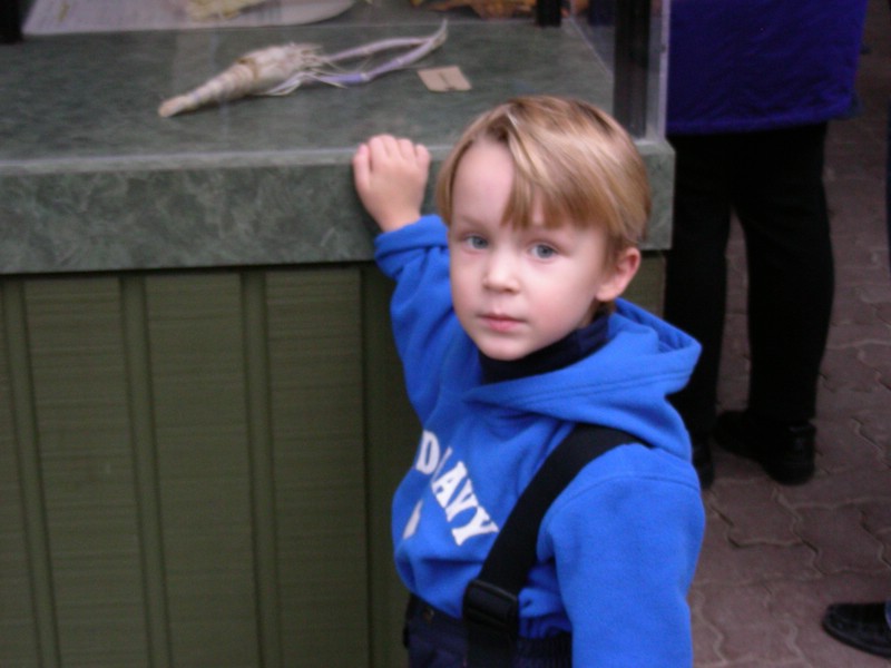 DSCN0166.JPG