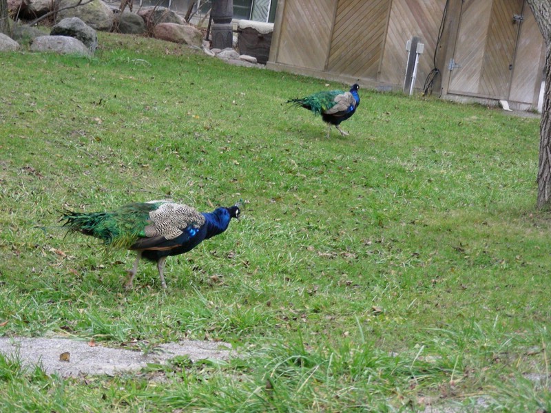 DSCN0169.JPG