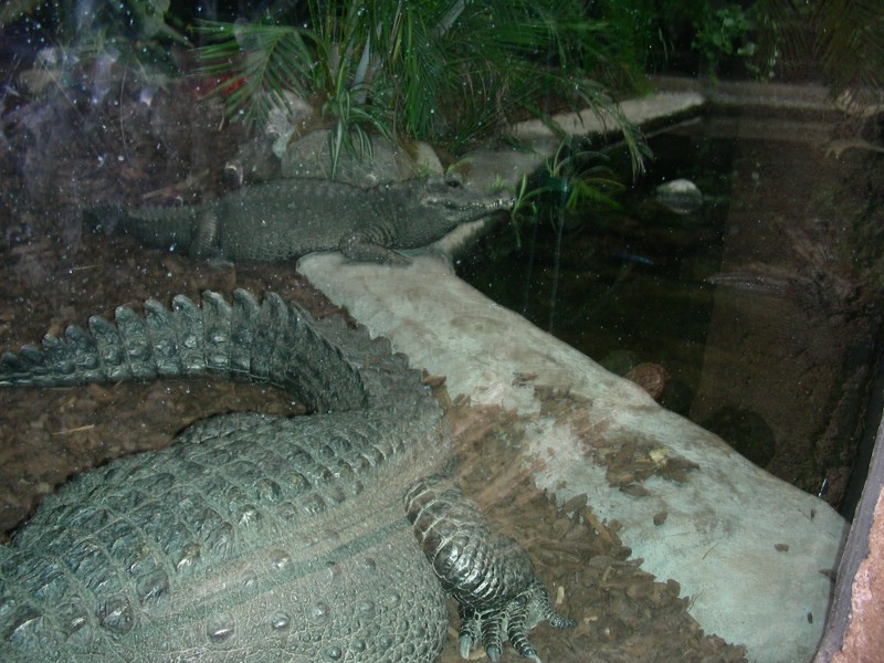 DSCN0173.JPG