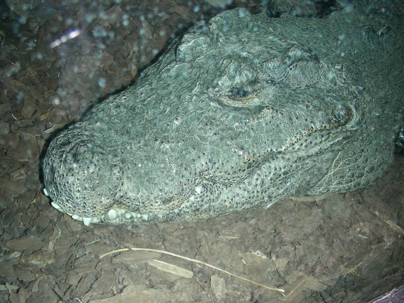 DSCN0174.JPG