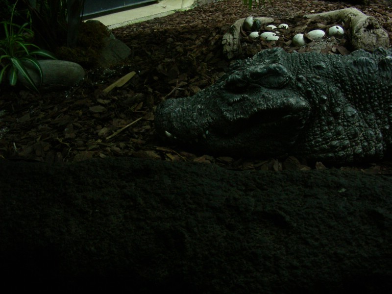 DSCN0182.JPG