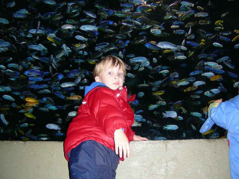DSCN0185.JPG