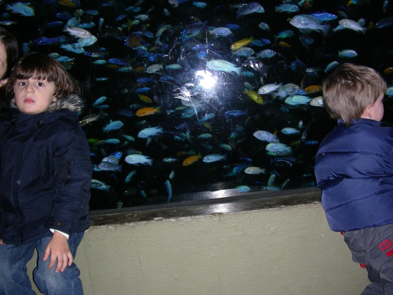 DSCN0186.JPG