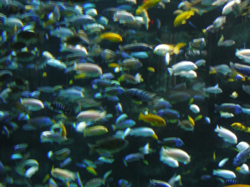 DSCN0189.JPG