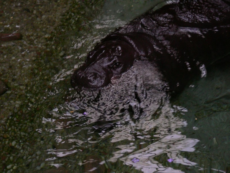 DSCN0191.JPG