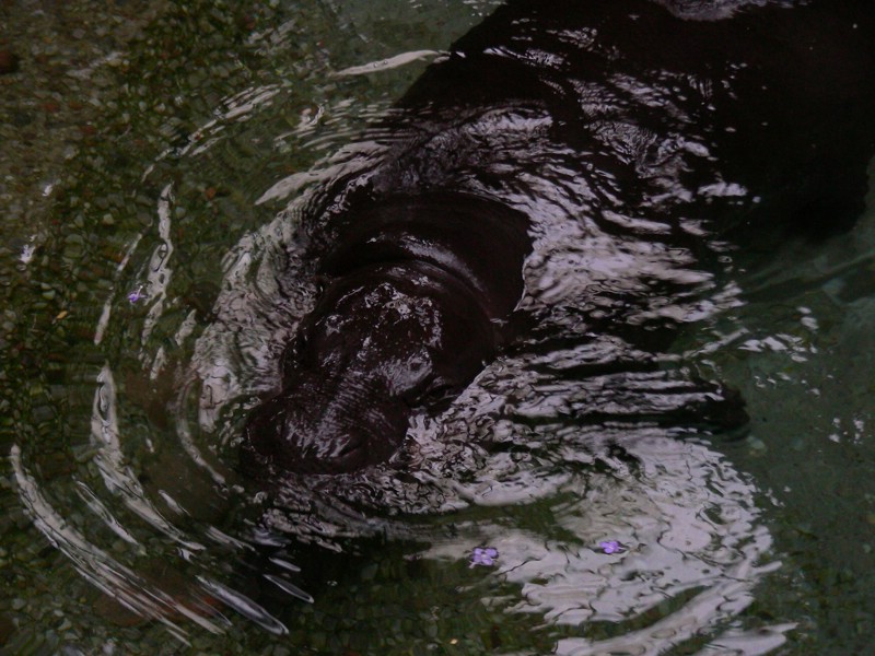 DSCN0192.JPG