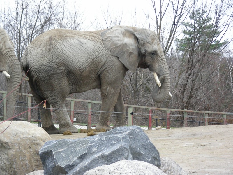 DSCN0195.JPG