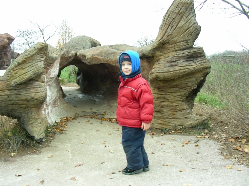 DSCN0199.JPG