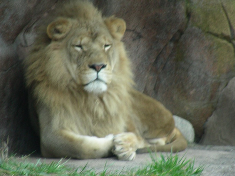 DSCN0203.JPG