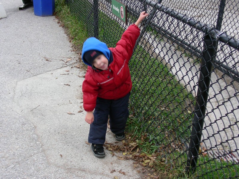 DSCN0208.JPG