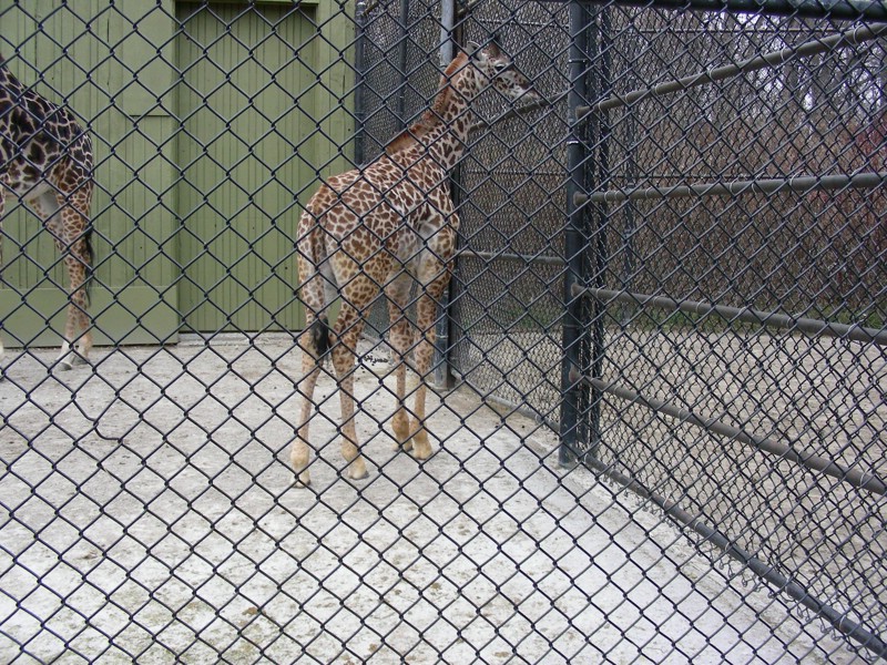 DSCN0209.JPG