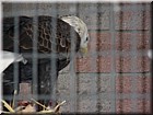 DSCN0119.JPG