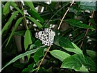 DSCN0120.JPG