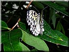 DSCN0121.JPG
