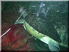 DSCN0126.JPG