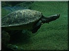 DSCN0130.JPG