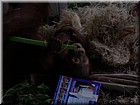 DSCN0132.JPG