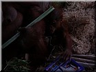 DSCN0138.JPG